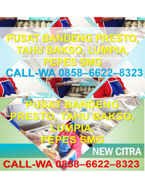 WA 0858-6622-8323, Oleh Oleh Khas Semarang Murah Meriah