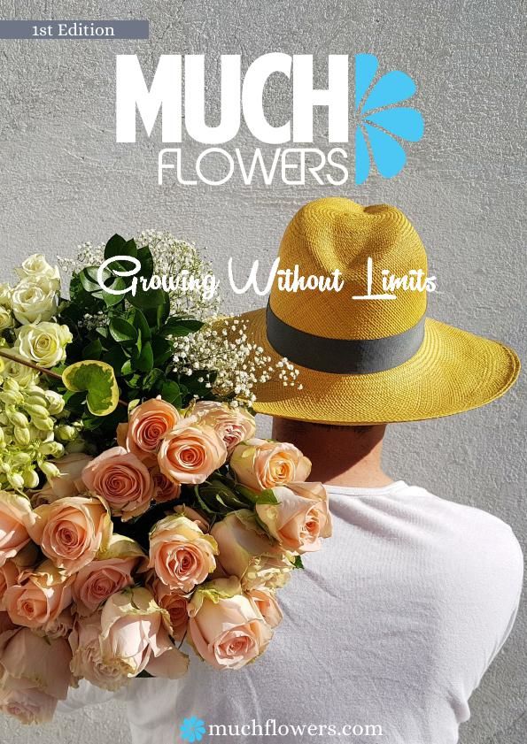 Much flowers catalogue by muchflowers2018 Flipsnack