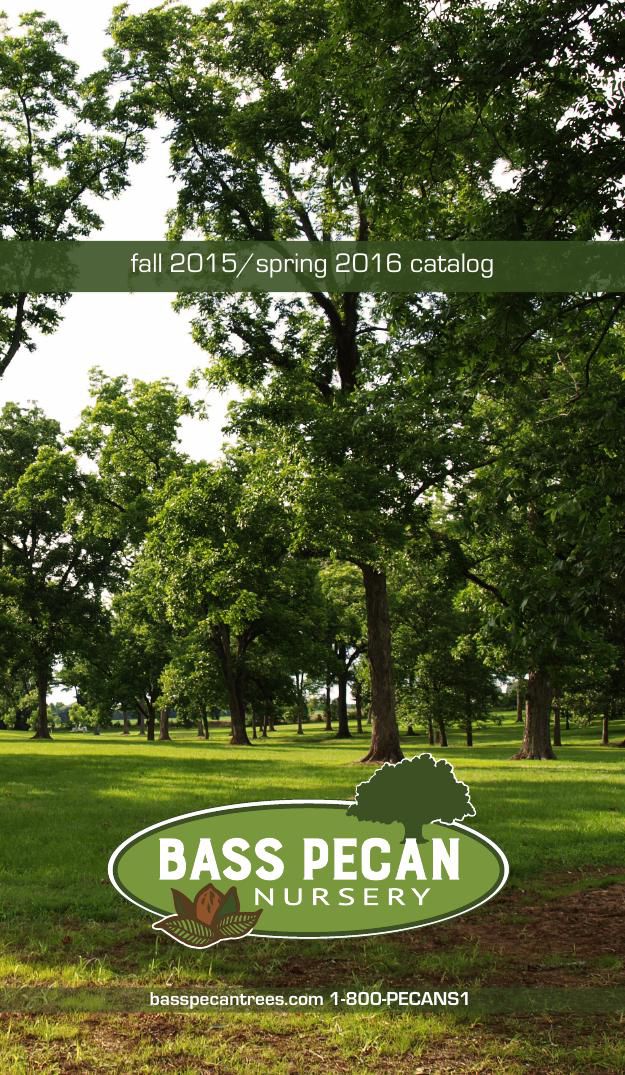 Bass Pecan Tree Nursery 2015 by Flipsnack