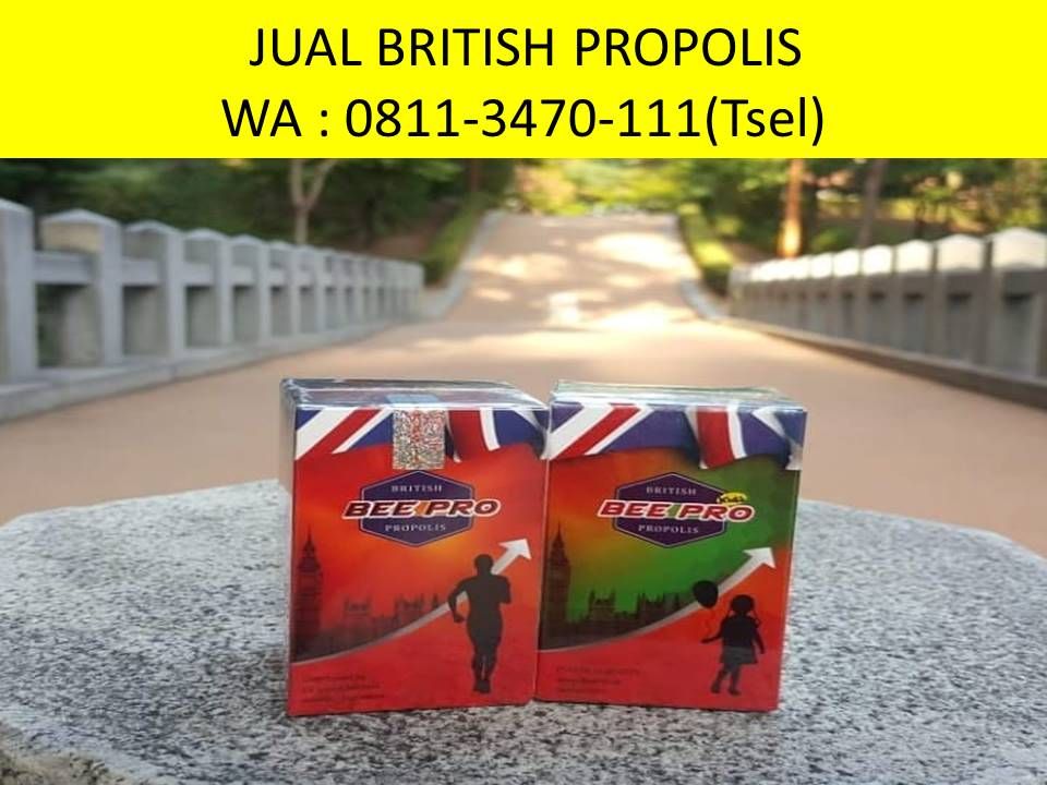 Jual Obat Kolesterol Diabetes Asam Urat British Propolis