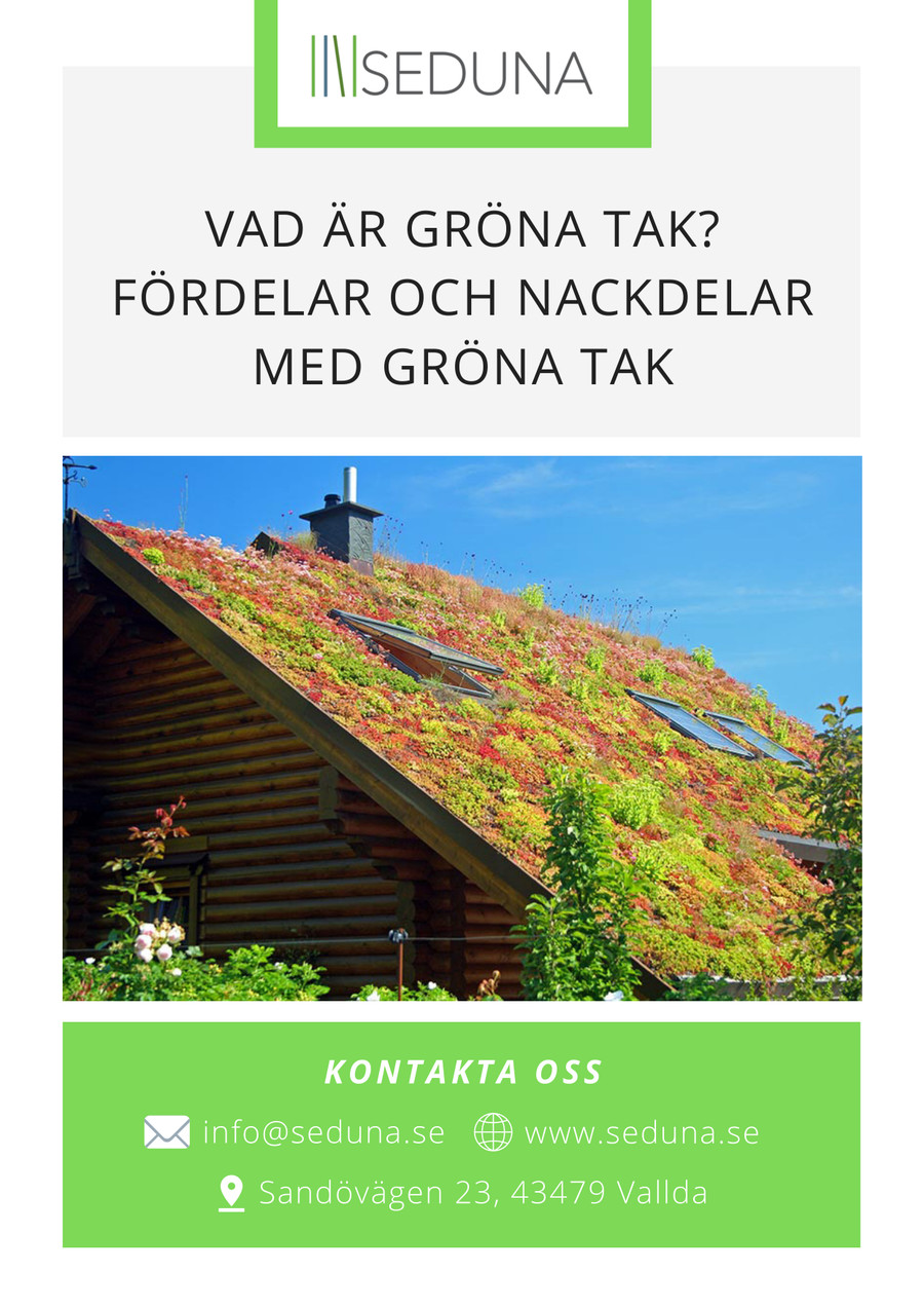 Fördelar Och Nackdelar Med Mångkulturalism