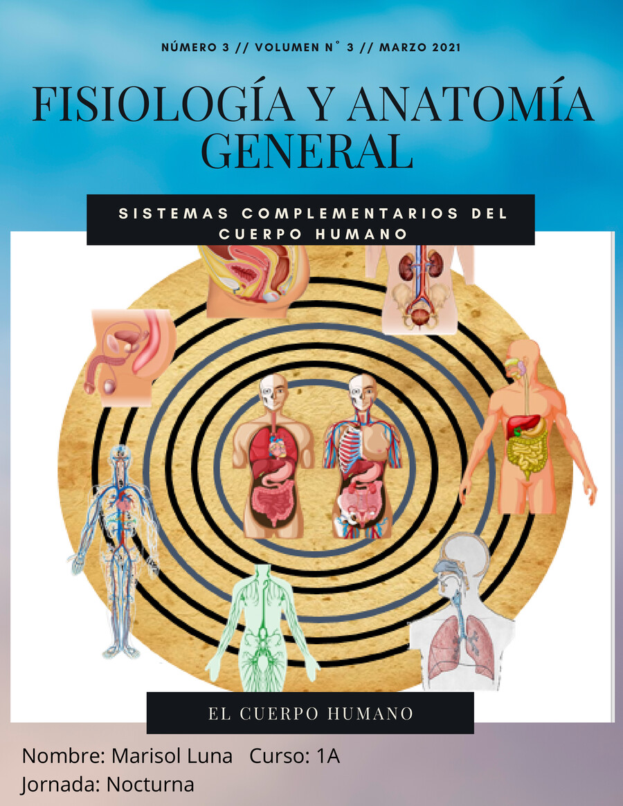 Sistemas Complementarios Del Cuerpo Humano (1) by Marisol Luna - Flipsnack