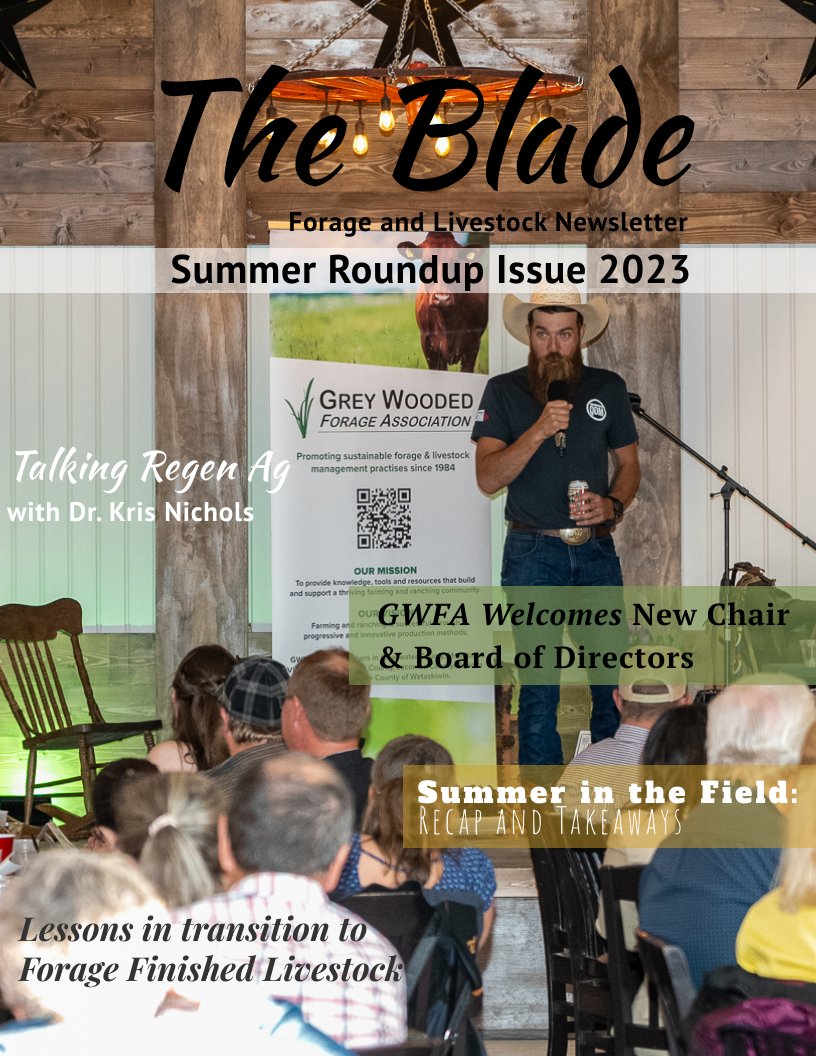 The Blade - Summer Roundup 2023 by Tatyana Irodenko - Flipsnack
