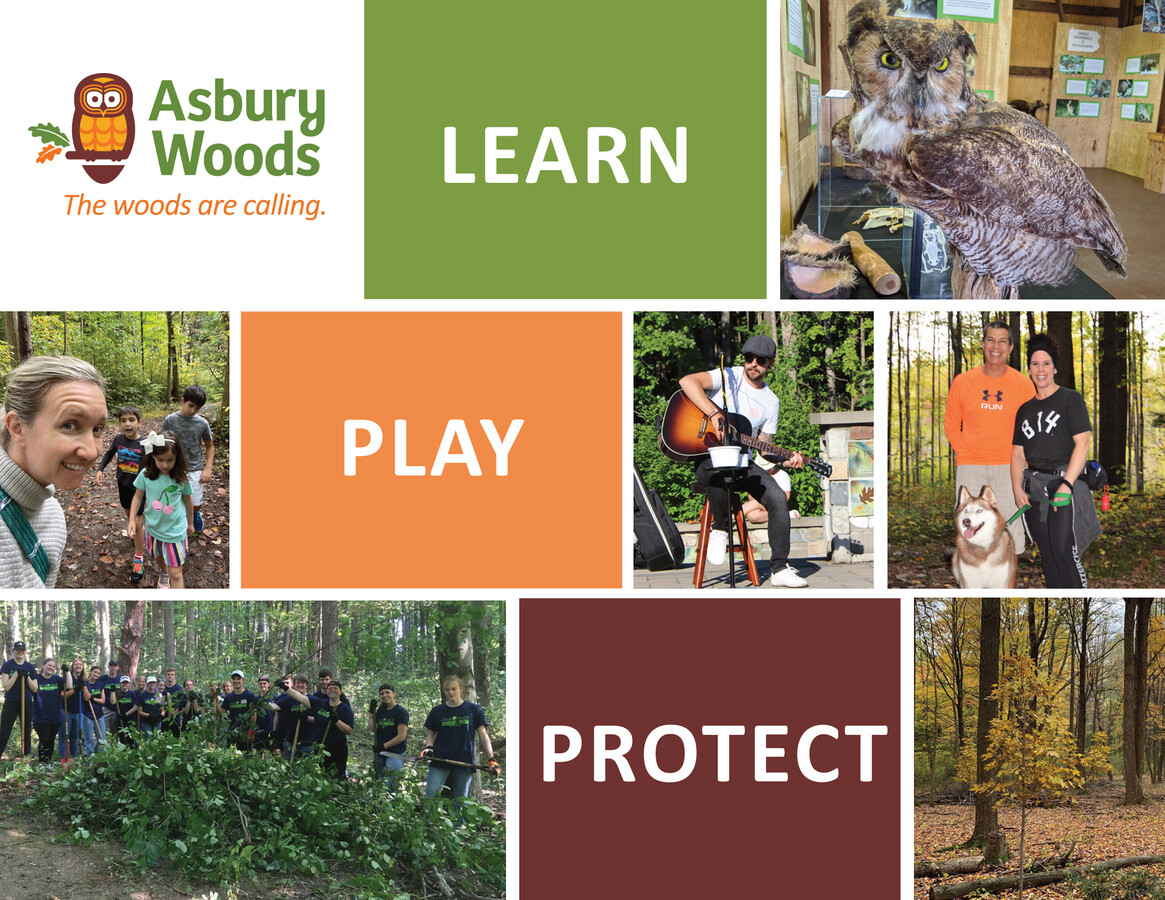 Asbury Woods Annual Report 20202021 by Carissa Snarski Flipsnack