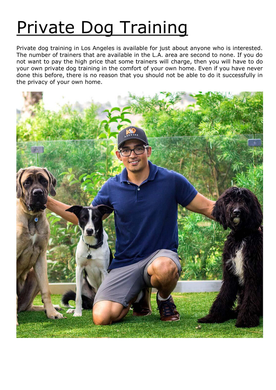 Private Dog Training by K9 Answers Dog... Flipsnack