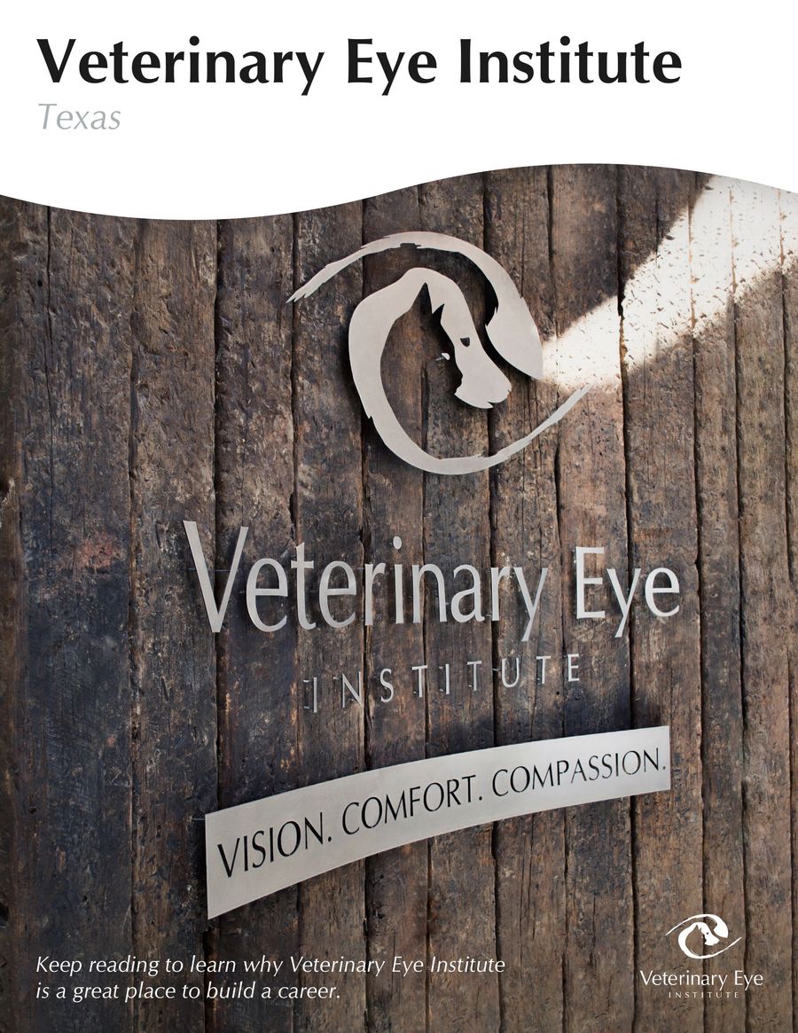 Veterinary Eye Institute Texas by MedVet Flipsnack