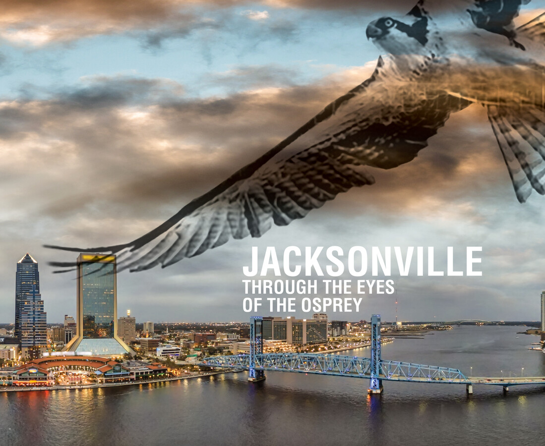 JACKSONVILLE THROUGH THE EYES OF THE OSPREY by Luz Maria... Flipsnack