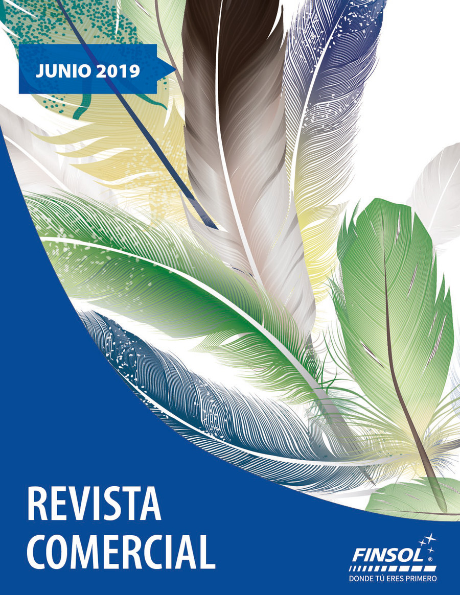 Revista Comercial Junio by AFI News Flipsnack