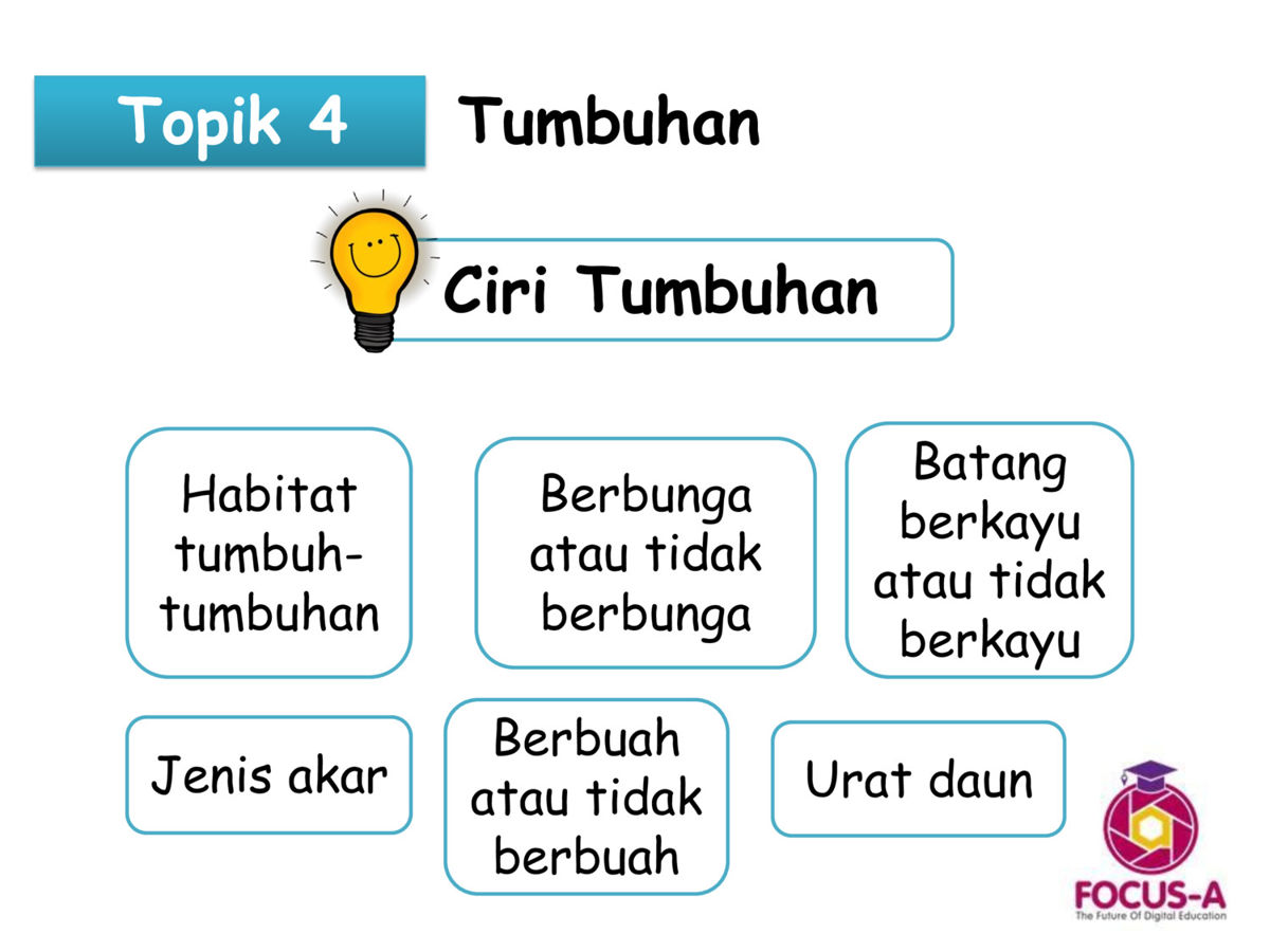 Tahun 3 Sains Topik 4 by MindAppz  Flipsnack