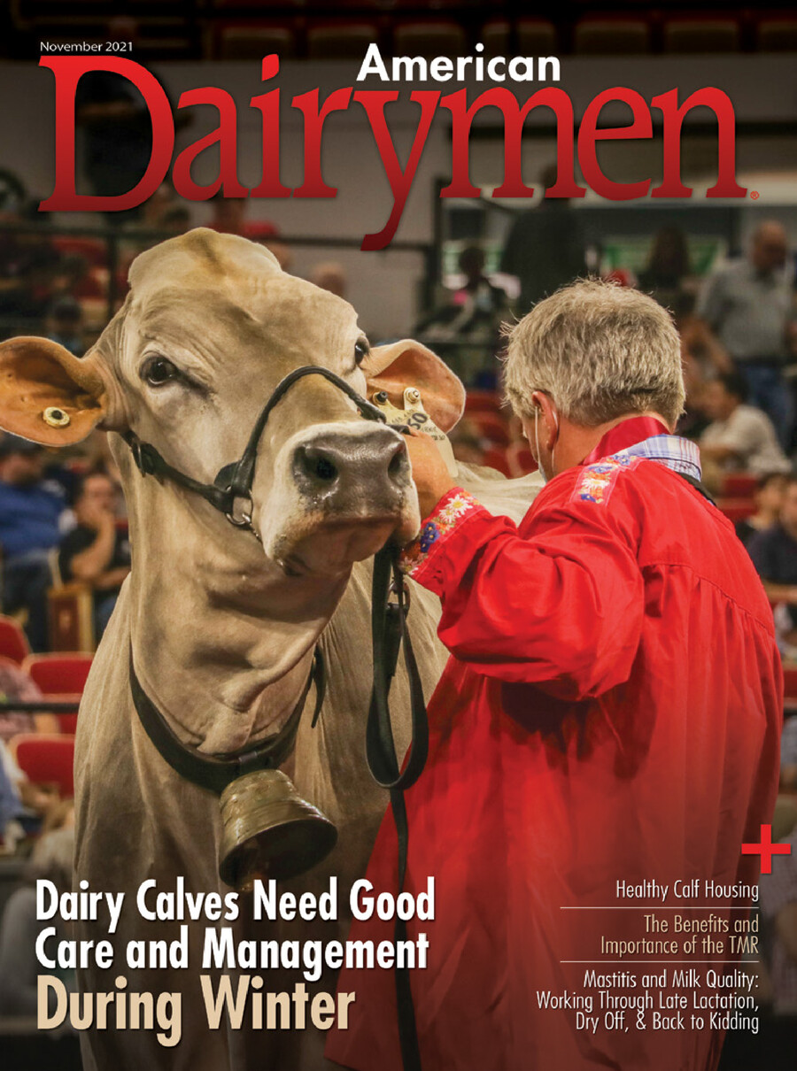 American Dairymen November 2021 by Brandon Peterson Flipsnack