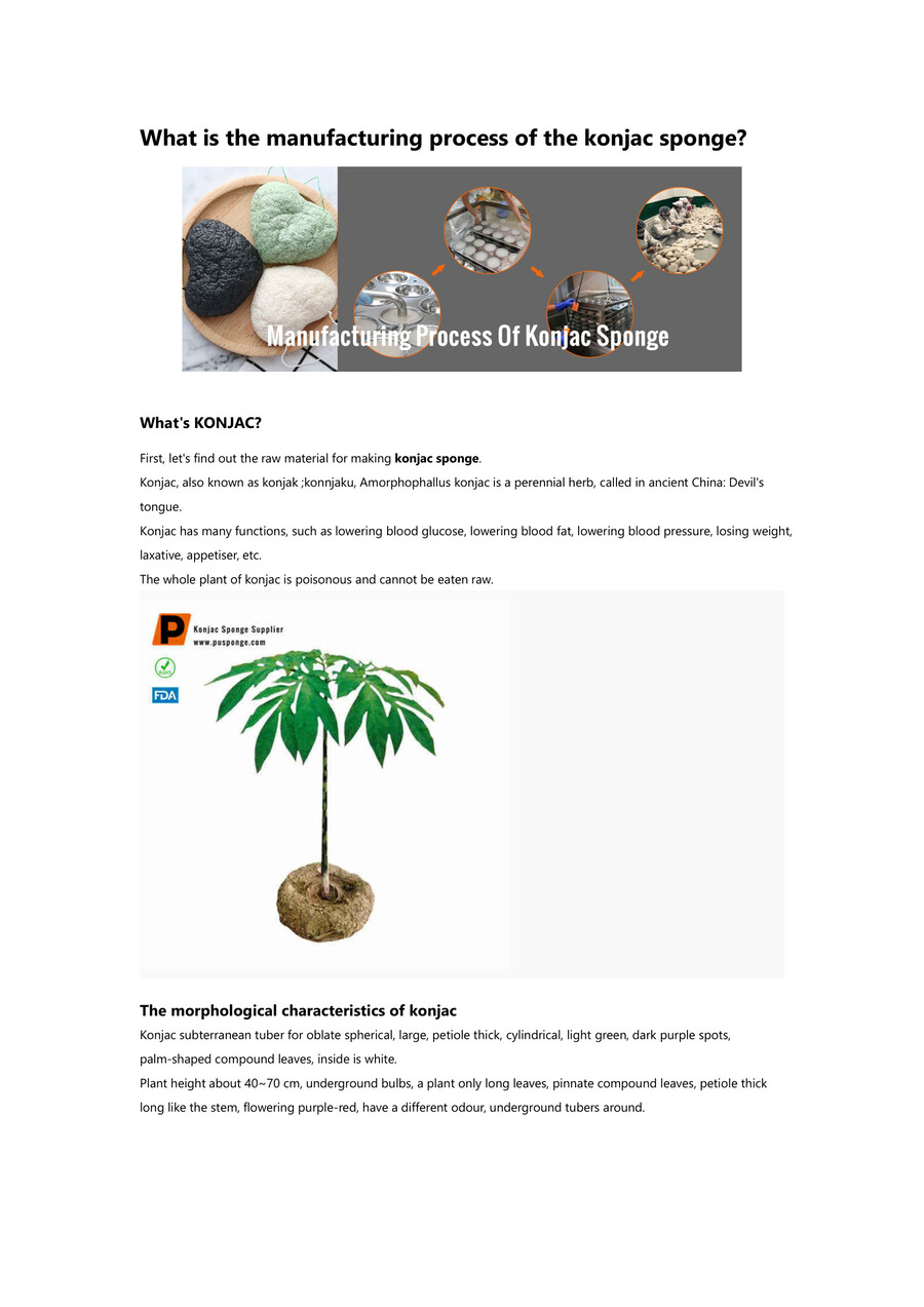 What's Manufacturing Process of Konjac Sponge by Arab - Flipsnack