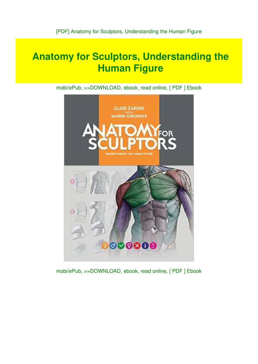 Pdf Anatomy For Sculptors Understanding The Human Figure By Gradylam Flipsnack