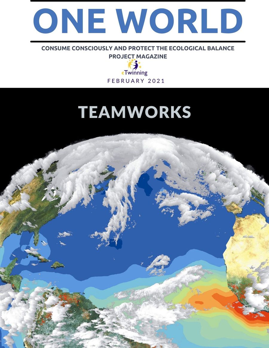FEBRUARY TEAMWORK by project - Flipsnack