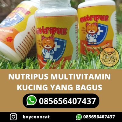 NUTRIPUS MULTIVITAMIN KUCING YANG BAGUS