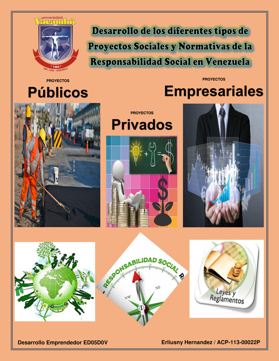 Desarrollo De Los Diferentes Tipos De Proyectos Sociales Y N By 