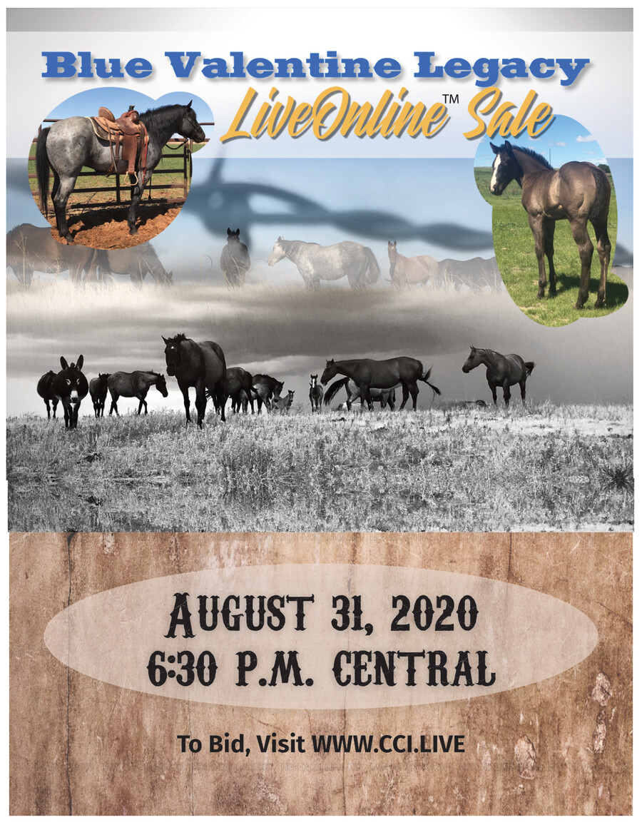 Sliding H Ranch Catalog by Cathy Flipsnack