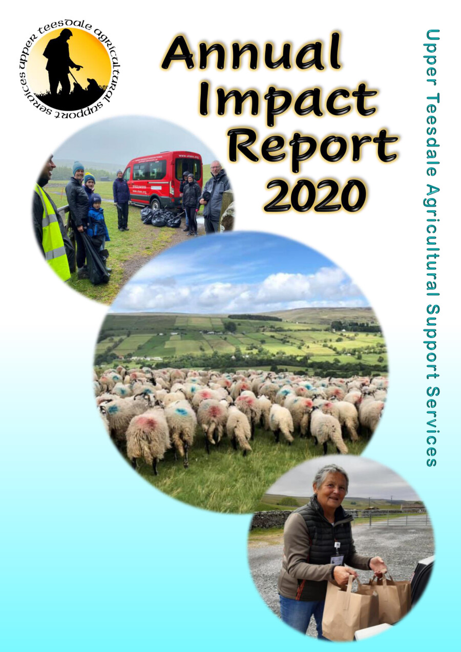 UTASS 2020 Annual Impact Report by - Flipsnack