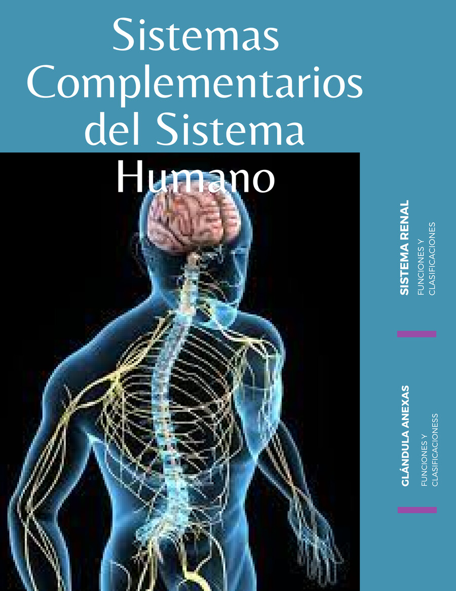 Sistemas Complementarios del Sistema Humano by Elena... - Flipsnack