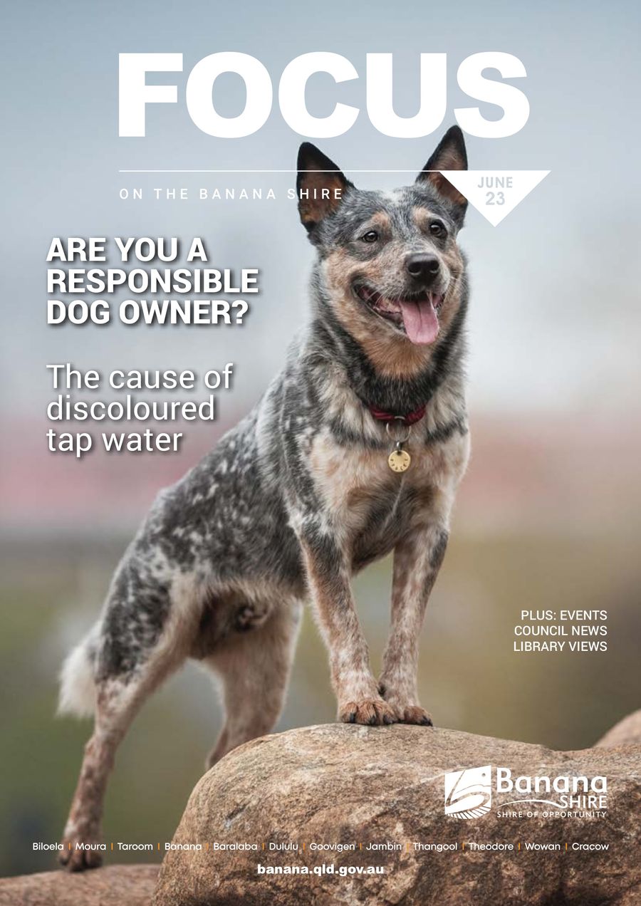 Focus Magazine June 2023 by Melissa Corfield - Flipsnack