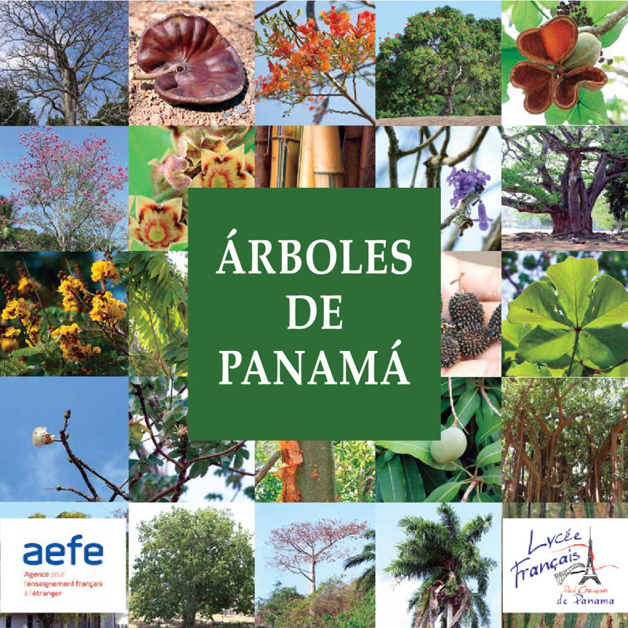 Árboles de Panama / Arbres du Panama by Adriana Pelaez - Flipsnack