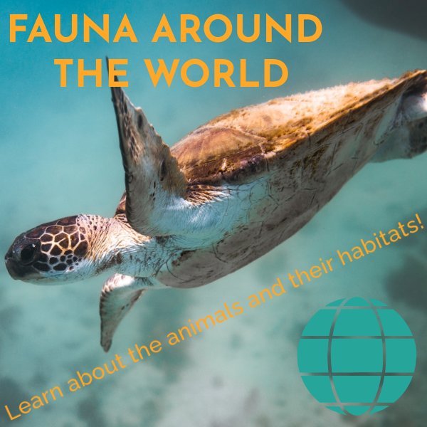 Fauna around the world by Carlos González - Flipsnack