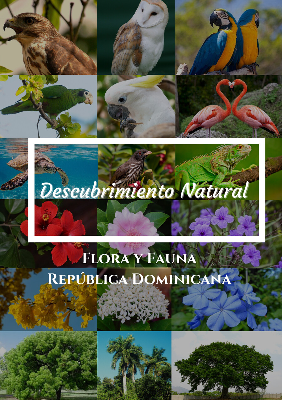 Flora y Fauna de la República Dominicana (1) by Laura Alvarez - Flipsnack
