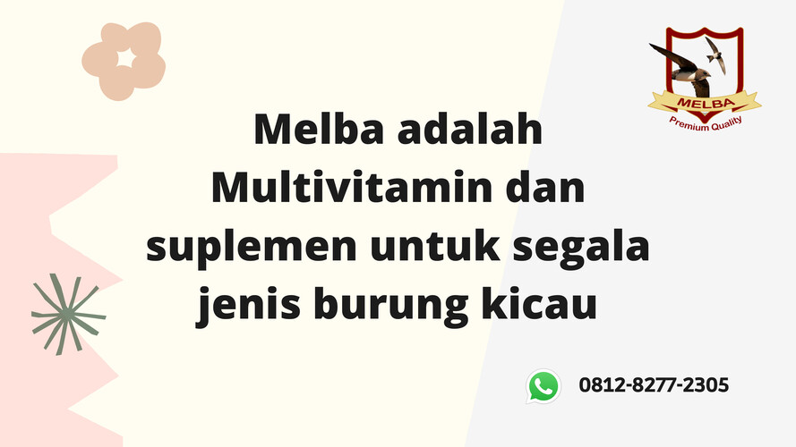 TERPERCAYA, CALL 0812-8277-2305, Vitamin Burung Dara Yang Bagus