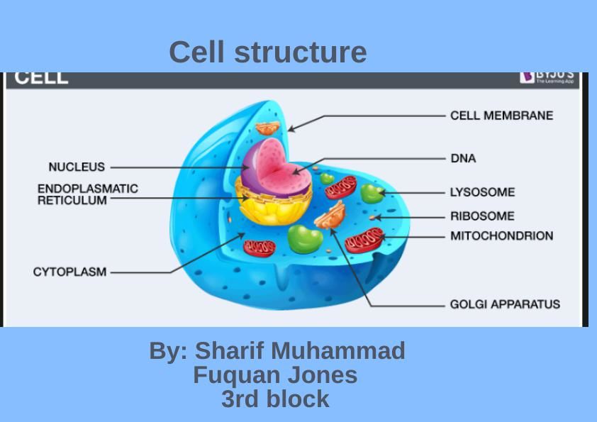 Cell structure magazine by magazine4science - Flipsnack