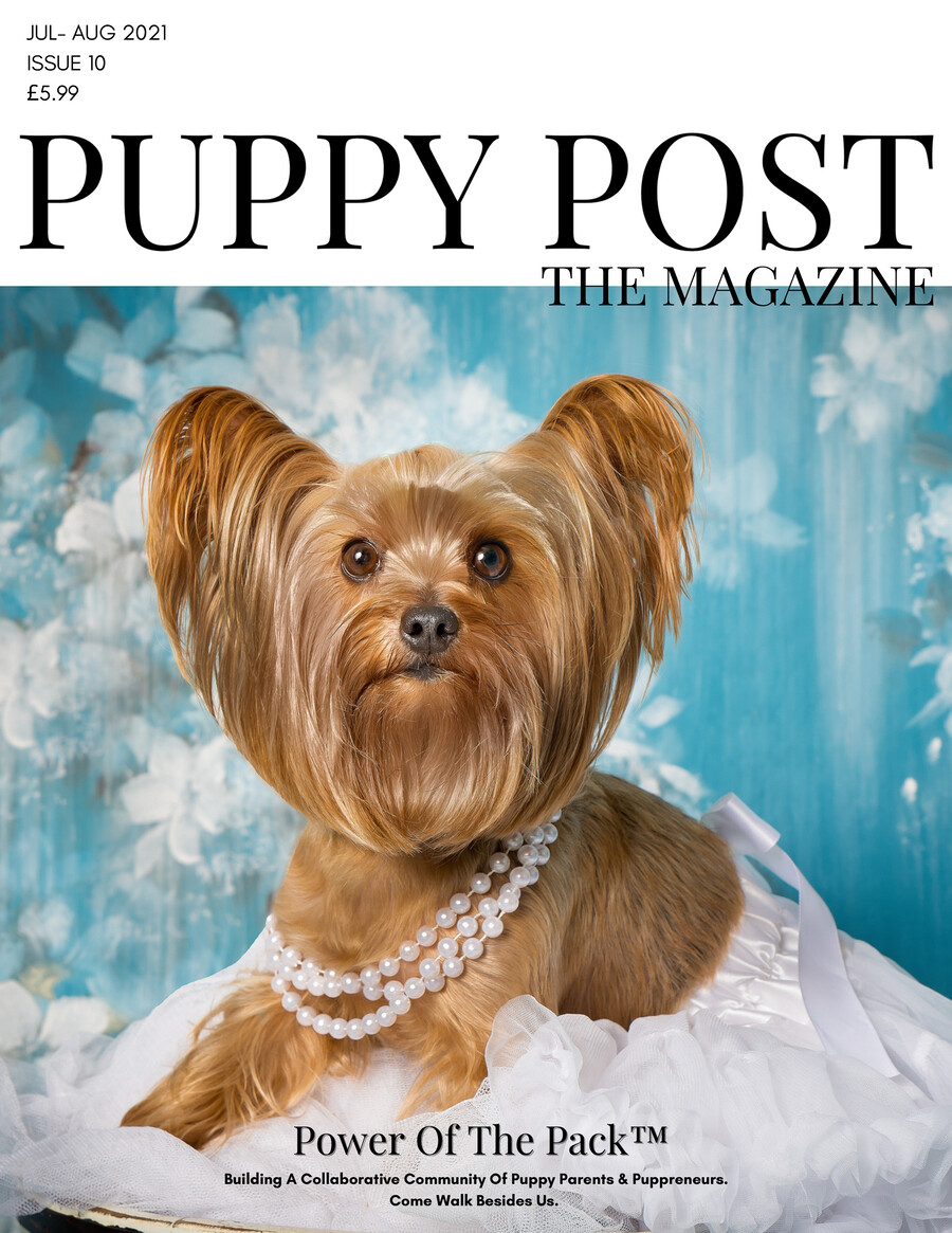 Puppy Post The Magazine Issue 10 by Puppy Post - Flipsnack
