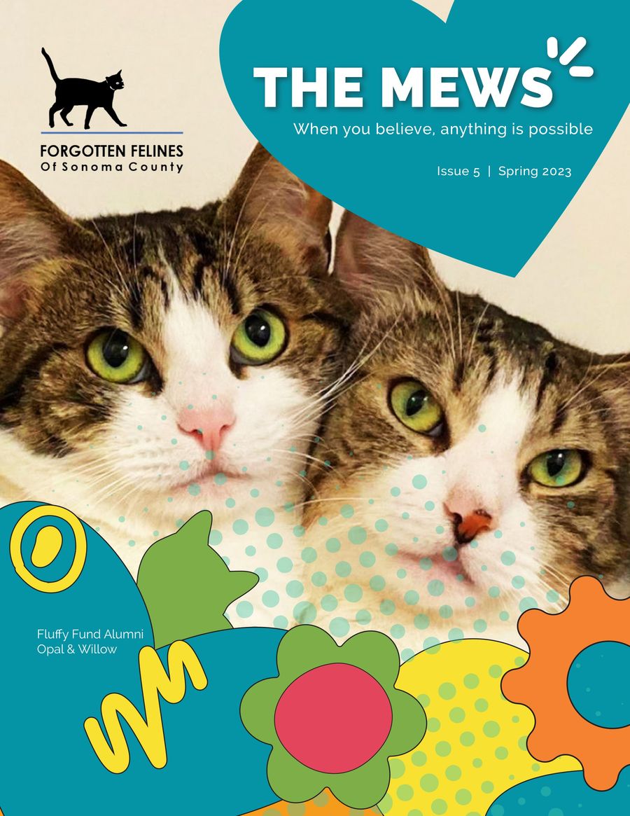 Ff Newsletter