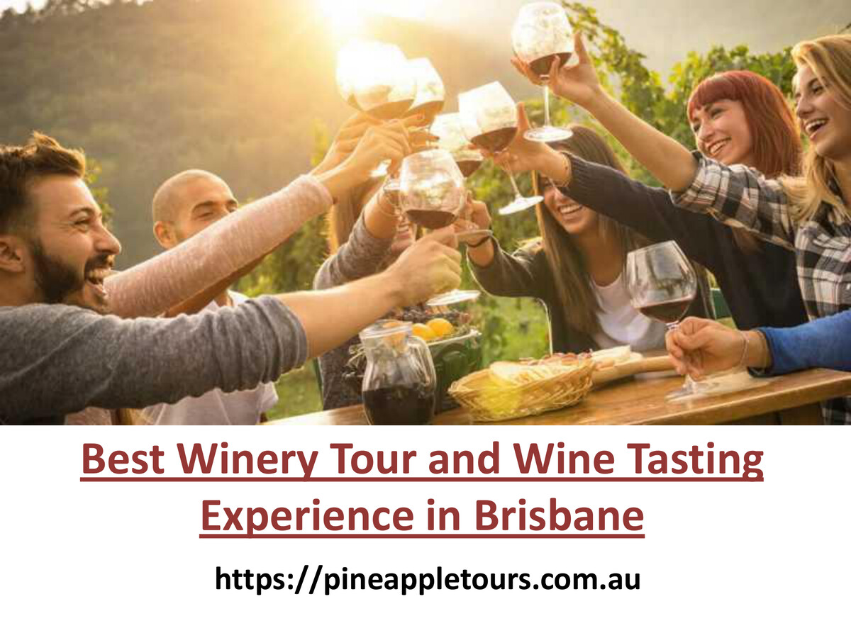 Best Winery Tour And Wine Tasting Experience In Brisbane By Pineapple
