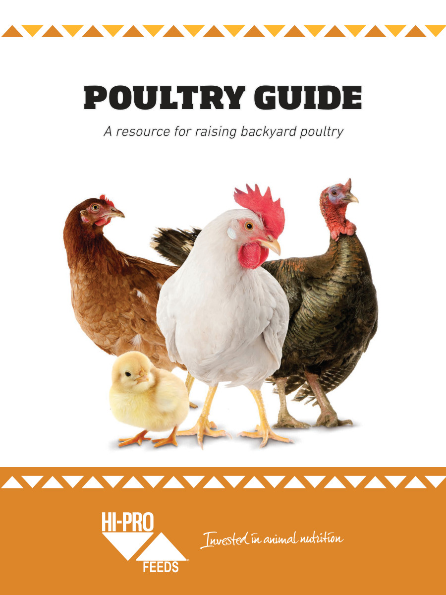 Backyard Poultry Guide - US Feb 2017 by Meghan - Flipsnack