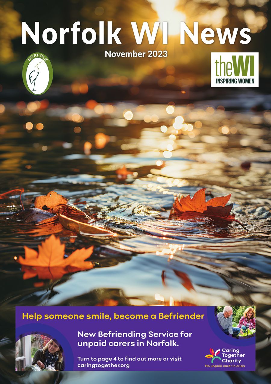 Norfolk WI News November 2023 by Greg Davis - Flipsnack