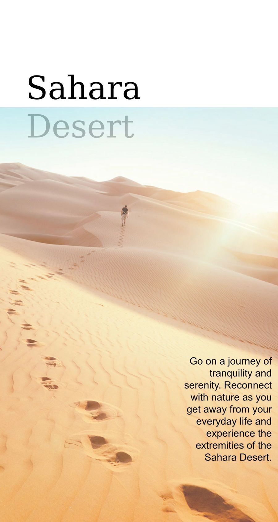 Sahara Desert brochure by Francis Burfitt - Flipsnack