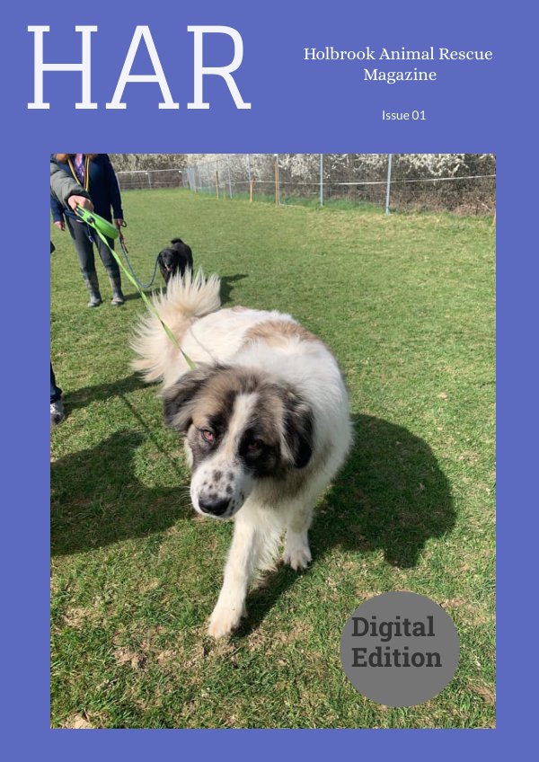 Holbrook Animal Rescue Magazine by Suzanne Davis - Flipsnack