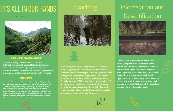 Environmental Awareness Brochure by LUIS EDUARDO... - Flipsnack