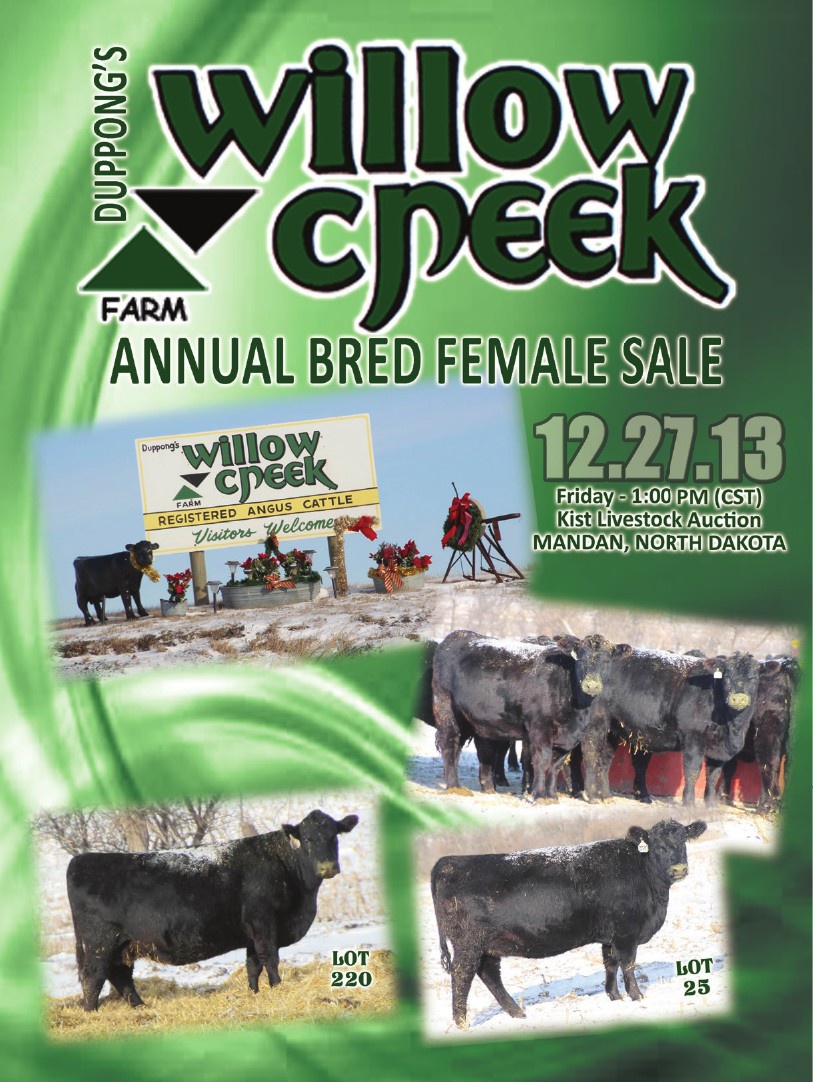 Duppong's Willow Creek Farm Annual Bred Female Sale by Christa Nichols