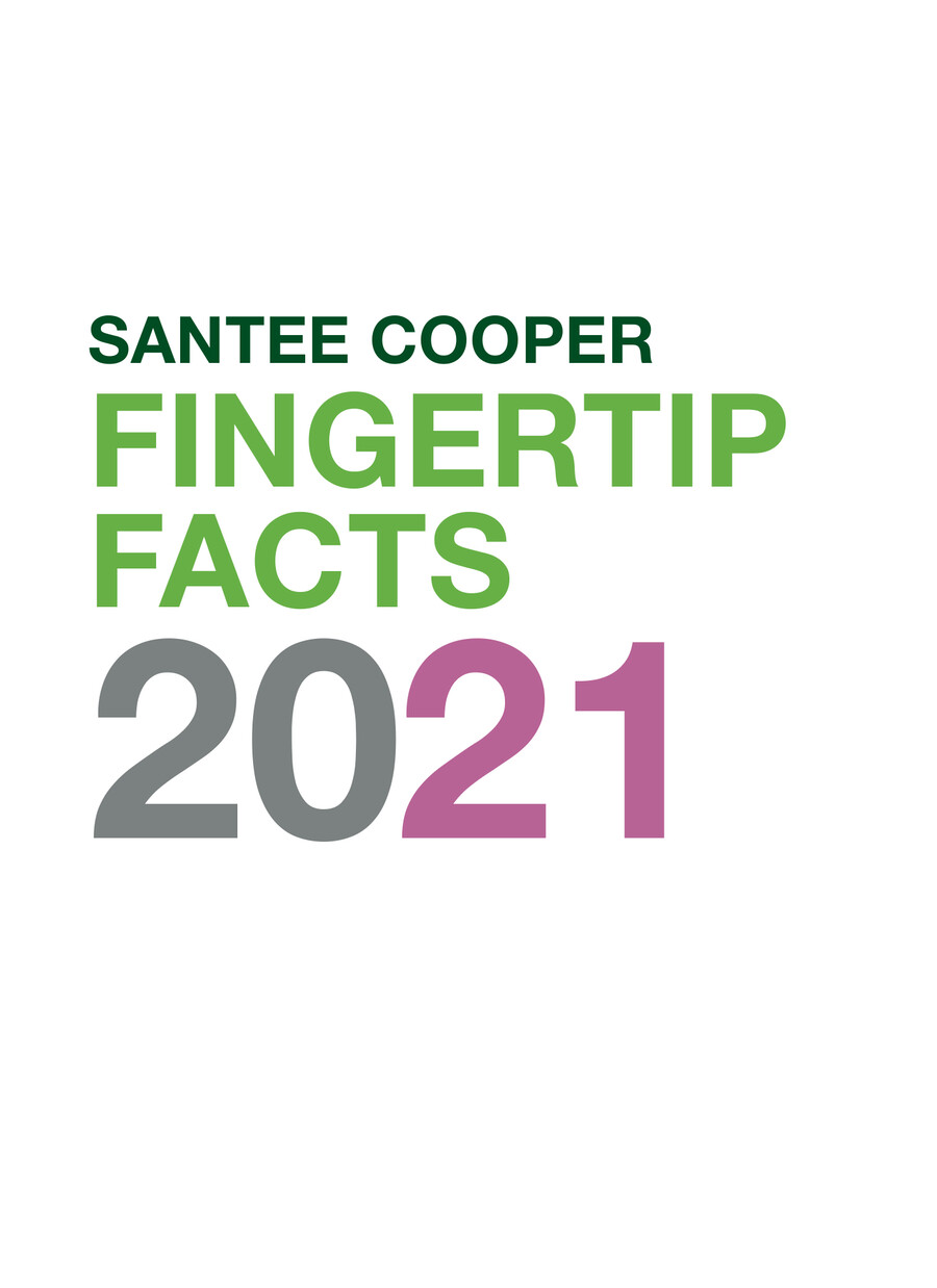 2021 Fingertip Facts by Santee Cooper Flipsnack