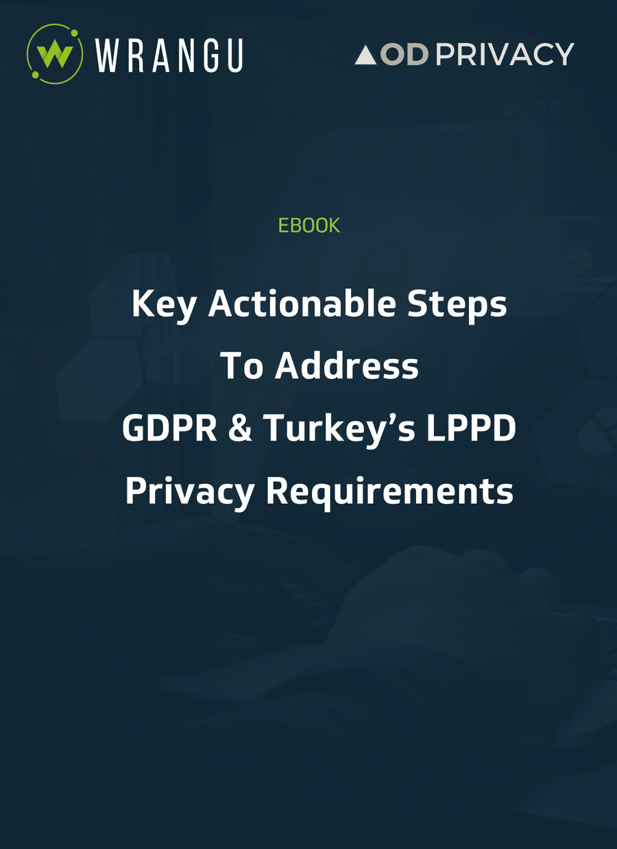 Key Actionable steps for EU GDPR and TURKEY LPPD eBook by Evin Menacer Flipsnack