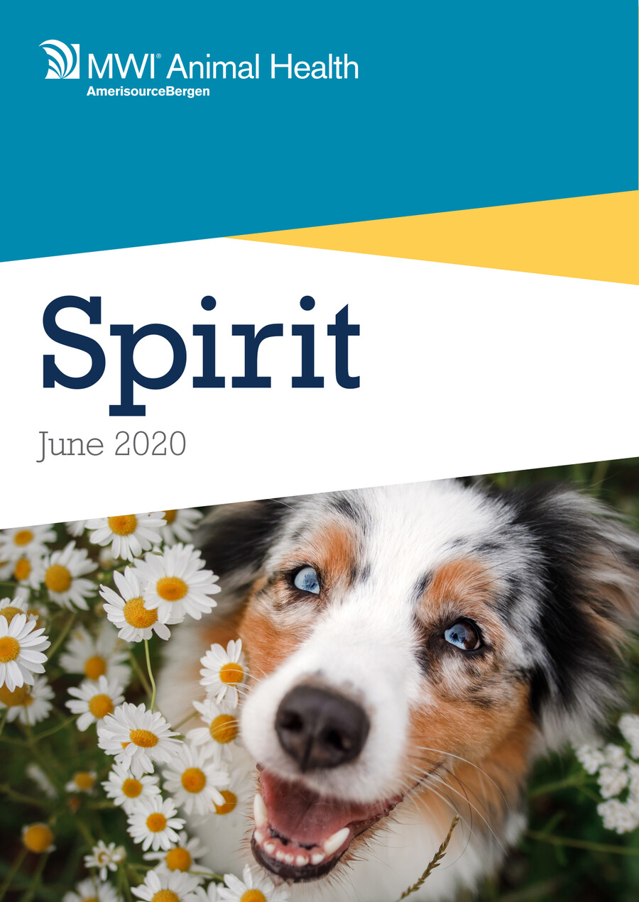 MWI SPIRIT JUNE 2020 by Animal Health UK Flipsnack