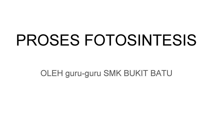 APAKAH YANG DIPERLUKAN UNTUK FOTOSINTENSI BERLAKU_ (1)