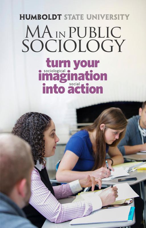 Master's in sociology requirements image