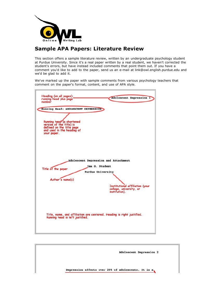 SAMPLE APA STYLE LITERATURE REVIEW by ZIE_HAQQIN - Flipsnack
