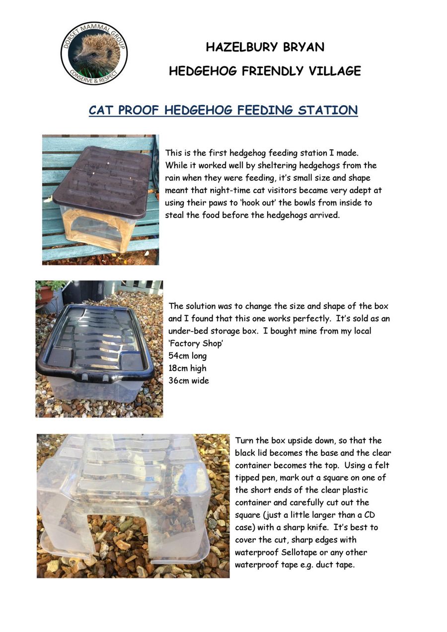 H Hog feed station (1) by Dorset Mammal Group Flipsnack