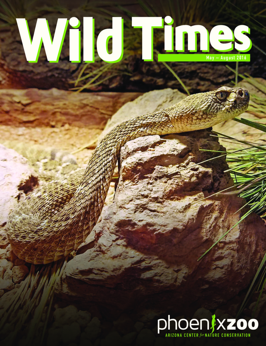 Wild Times MayAugust 2016 by phxzoo Flipsnack