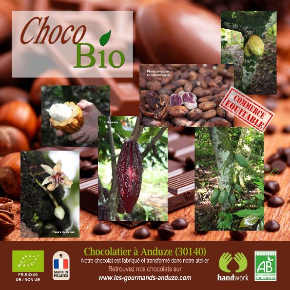 ChocoBio une collection fabriquée à Anduze by gourmands - Flipsnack