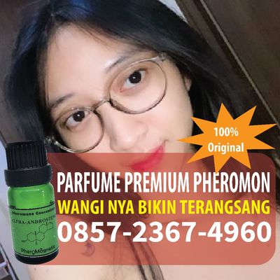 WA 0857-2367-4959, Jual Parfum Pemikat Pria Di Jakarta Selatan