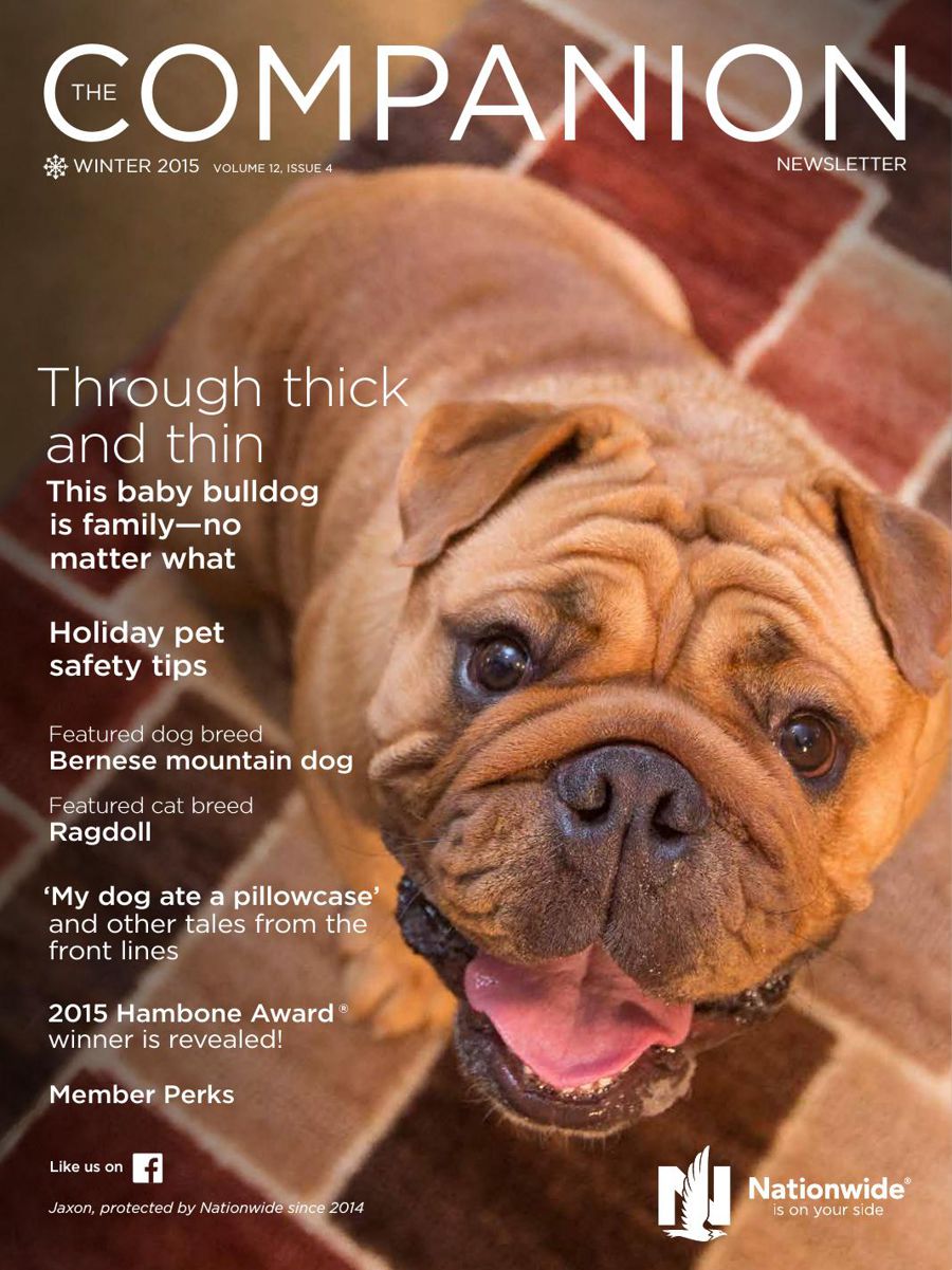 Companion Newsletter Fall 2015 Nationwide Pet Insurance By