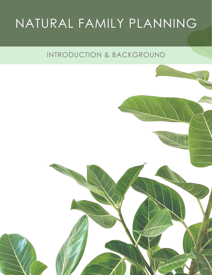 NFP Booklet Intro & Background by Grand... - Flipsnack