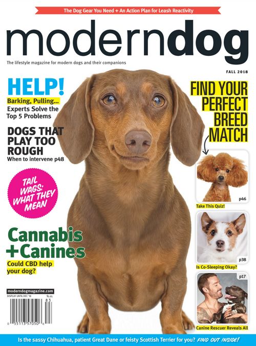 Sprocket Shueey  Modern Dog magazine